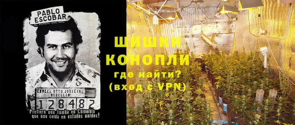СК Вяземский